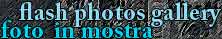 photo gallery  fotografie